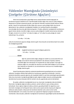 Y&uuml;klemler Mantığında &Ccedil;&ouml;z&uuml;mleyici &Ccedil;izelgeler (&Ccedil;&uuml;r&uuml;tme Ağa&ccedil;ları)