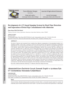 Development of a UV-based Imaging System for Real-Time