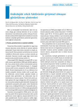 Androlojide erkek fakt&ouml;r&uuml;n&uuml;n girişimsel olmayan