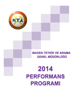 performans programı