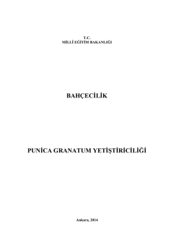 BAH&Ccedil;ECİLİK PUNİCA GRANATUM YETİŞTİRİCİLİĞİ