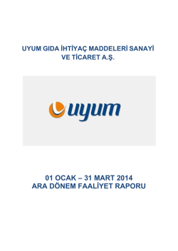 Faaliyet Raporu 31032014