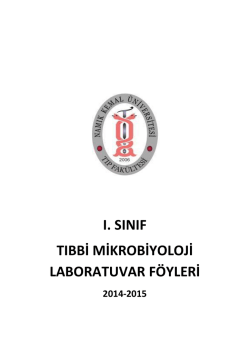 ı. sınıf tıbbi mikrobiyoloji laboratuvar föyleri - E