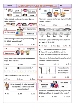 Matematik Seviye Tespit Testi
