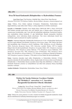 C. suaveolens ve C. leucodon