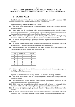 T.C. ORMAN VE SU İŞLERİ BAKANLIĞI DSİ ILISU