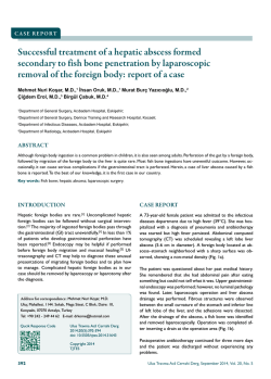 Successful treatment of a hepatic abscess formed