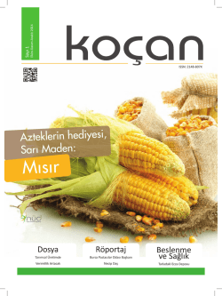 Mısır - NUD - Mısır Şurubu