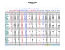 Ekli Dosyayı G&ouml;rmek İ&ccedil;in Tıklayın