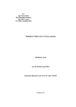 1311 - Ege &Uuml;niversitesi Diş Hekimliği Fak&uuml;ltesi