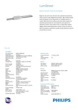 Product Leaflet: LumiRoad BGP213 yol aydınlatma armat&uuml;r&uuml;