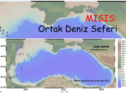 Ortak Deniz Seferi