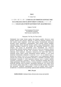 i &Ouml;ZET Y. Lisans Tezi ARABİDOPSİS THALİANA (FARE KULAĞI