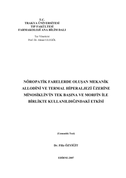 nöropatik farelerde oluşan mekanik allodini ve termal hiperaljezi