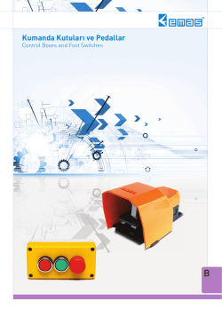 Kumanda Kutular&rsaquo; ve Pedallar