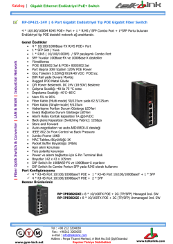 Repotec RP-IP421-24V | Gigabit Ethernet Endüstriyel