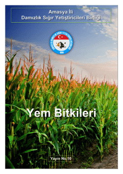 Amasya İli Damızlık Sığır Yetiştiricileri Birliği
