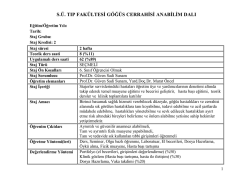 İnt&ouml;rn &Ouml;ğrenci Karnesi (Se&ccedil;meli Dersler)