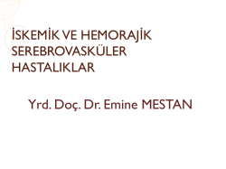iskemik ve hemorajik serebrovask&uuml;ler hastalıklar