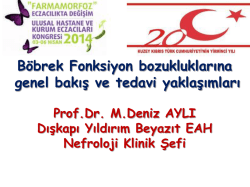 B&ouml;brek Fonksiyon Bozukluklarına Genel Bakış ve Tedavi Yaklaşımları