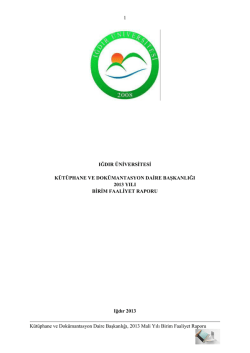 2013 Yılı Faaliyet Raporu