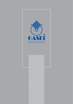 2013 FAALİYET RAPORU
