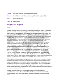 Araştırma Raporu - III. Model Birleşmiş Milletler T&uuml;rkiye