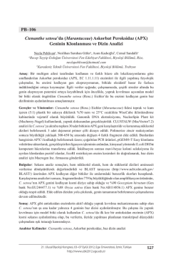 Askorbat Peroksidaz (APX)