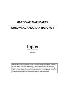 kvı-kurumsal arka plan raporuı ı - tepav