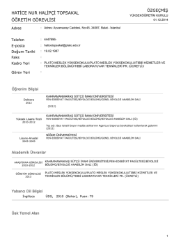 Özgeçmiş - Plato Meslek Yüksekokulu