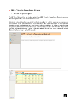• CEO - Yönetim Raporlama Sistemi