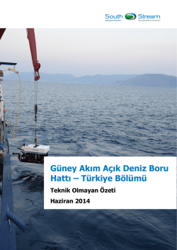 Güney Akım Açık Deniz Boru Hattı – Türkiye Bölümü