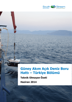 G&uuml;ney Akım A&ccedil;ık Deniz Boru Hattı &ndash; T&uuml;rkiye B&ouml;l&uuml;m&uuml;