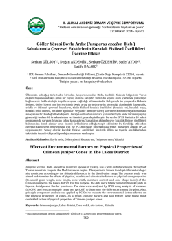 G&ouml;ller Y&ouml;resi Boylu Ardı&ccedil; (Juniperus excelsa Bieb