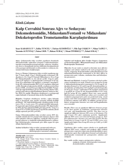 Bu PDF dosyasını indir