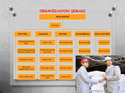 03 Organizasyon şeması