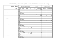 Lisanssız &Uuml;retim Başvurularına İlişkin Bağlantı Kapasite Durum