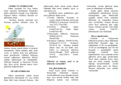 G&Uuml;BRE VE G&Uuml;BRELEME G&uuml;bre i&ccedil;ersinde bir veya birka&ccedil; besin