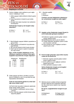 Test 4