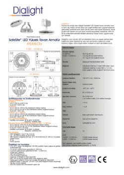 CHP Enerji Politikası Raporu