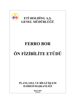 Ferro Bor &Ouml;n Fizibilite Et&uuml;d&uuml;