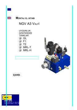 NGV A3 Elektronik Valf Kullanım Kılavuzu