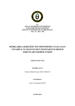 feyyaz kocaarslan_tez - Adnan Menderes &Uuml;niversitesi