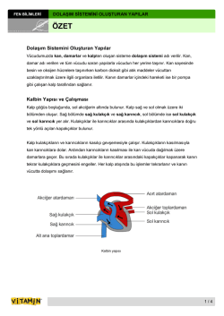 Dolaşım Sistemini Oluşturan Yapılar Kalbin Yapısı ve &Ccedil;alışması