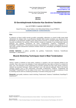 İndir - Teknolojik Araştırmalar