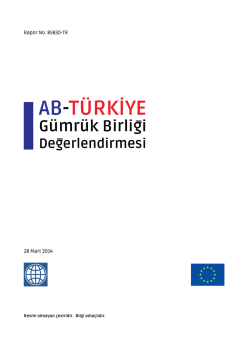 AB-Türkiye Gümrük Birliği Değerlendirmesi