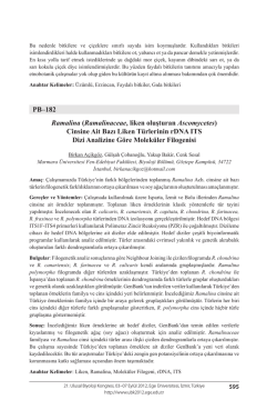Ramalinaceae, liken oluşturan Ascomycetes