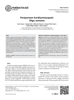 PDF Olarak İndir