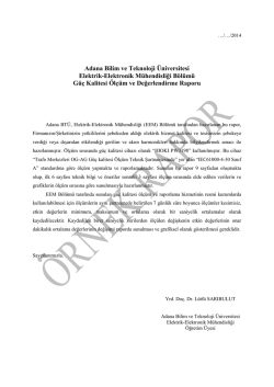 &Ouml;rnek Rapor - Elektrik Elektronik M&uuml;hendisliği