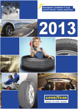 GOODYEAR 2013 FR